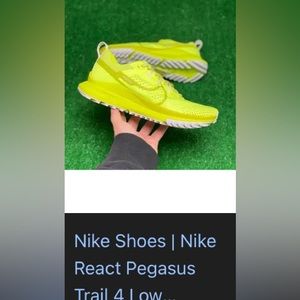 Nike Pegasus trail